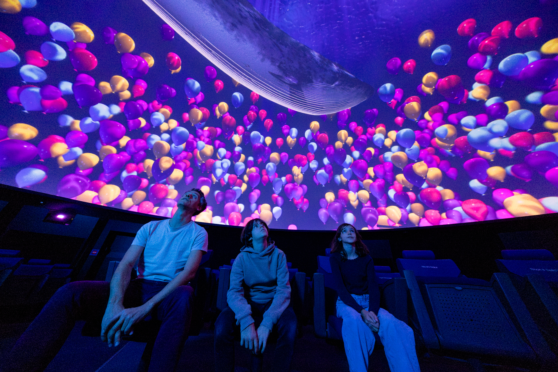 Pixel Zoo Ocean Heidelberg